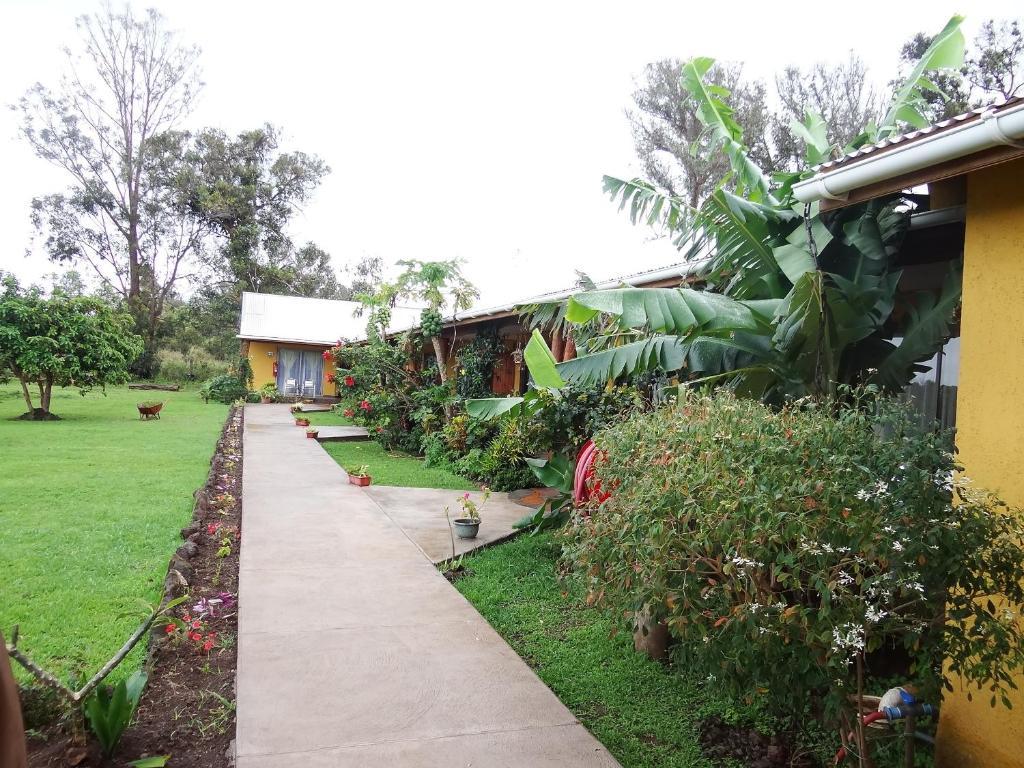 Cabanas Rapa Nui Orito Hanga Roa Exteriér fotografie